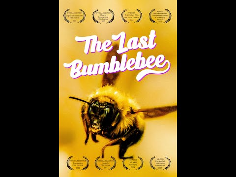 The Last Bumblebee Trailer