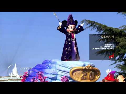 disney au coeur de la magie des parcs demain 20h55 NRJ12 24 12 2015