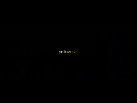 #BIFF2020 A Window on Asian Cinema - Yellow Cat / 아시아 영화의 창 - 노랑 고양이