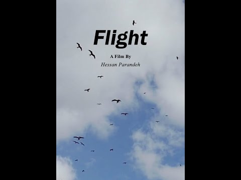 FLIGHT