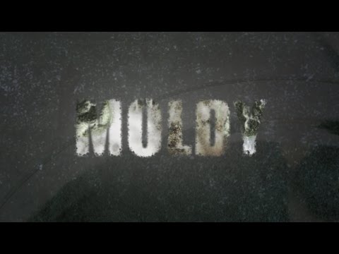 MOLDY Movie Official Trailer (2015)