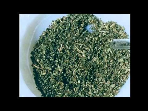 Something Weird Narcotics... The Inside Story