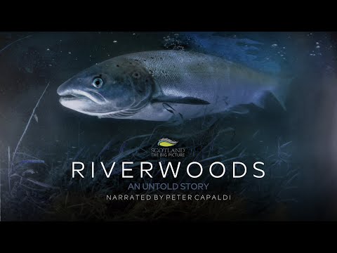 Riverwoods: An Untold Story (Trailer)