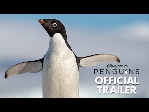 Disneynature's Penguins Official Trailer | Experience it in IMAX®