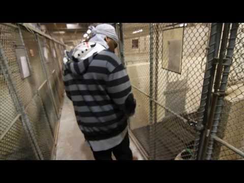 Mercy's Kennel: The Trailer