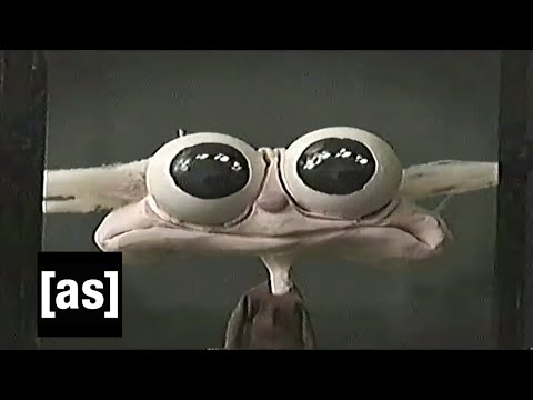 Jack Stauber's "Opal" (Trailer) | adult swim