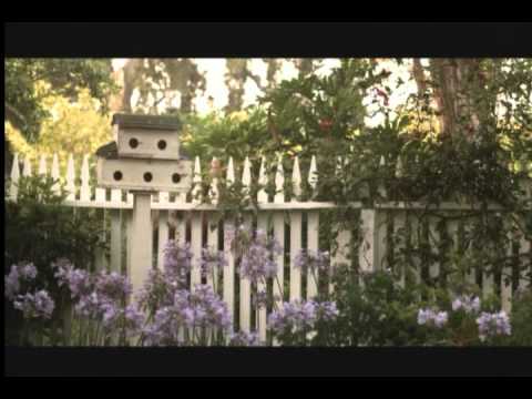 Amor por Acaso - Trailer Oficial