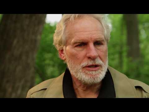 The Taker's Crown Official Trailer