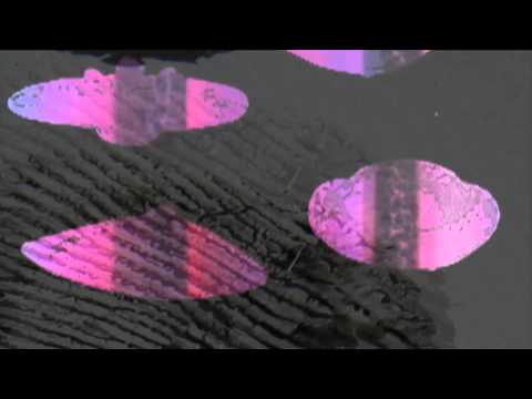 The Clox - Broken Dream(Official Music Video)