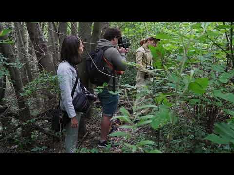 Ecosistemas de la costanera sur - Trailer