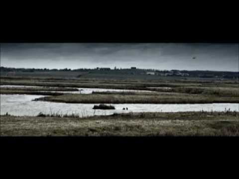 The Hide movie trailer