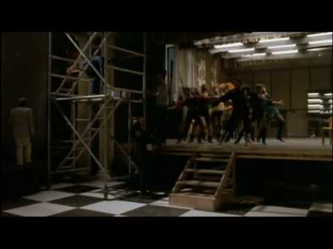 La Cage Aux Folles 3 French Dvdrip DivX Sample