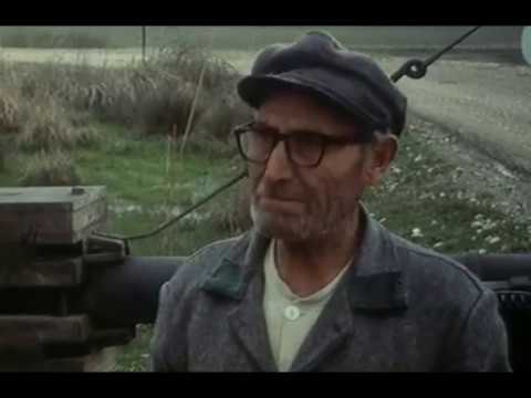 Sohrab Shahid Saless   Tabiate bijan AKA Still Life 1974 1