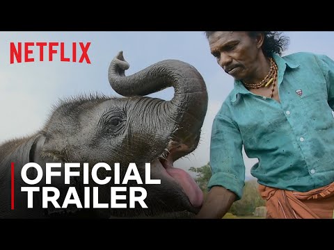 Official Trailer