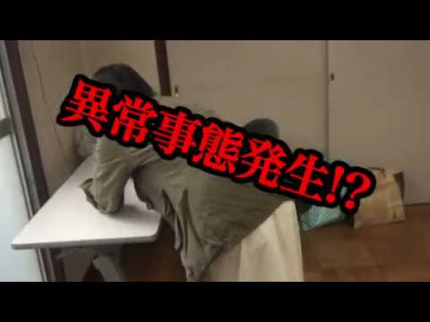 「封印映像34 ひよいくぐり」予告