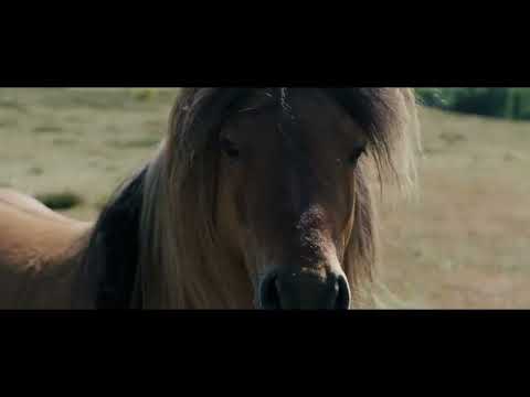 BELINDA | NFMLA July 13, 2024