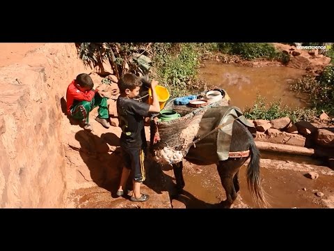 Berbères des cimes teaser