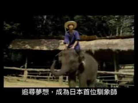 Shining Boy & Little Randy trailer