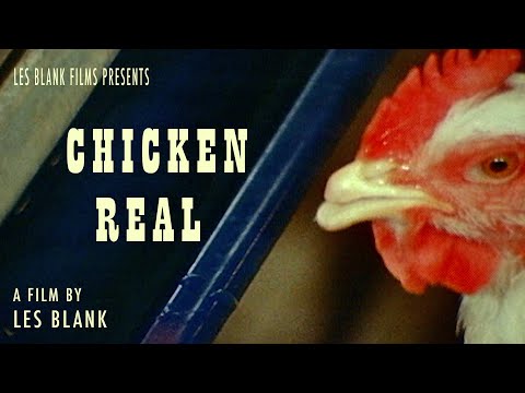 Chicken Real (TRAILER)