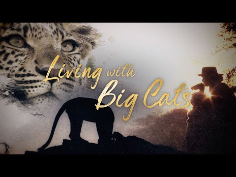 Living With Big Cats - Trailer - Wildlife Films - National Geographic