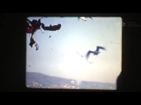 La casa de los Lúpulos / Lupulo's House (Clip)