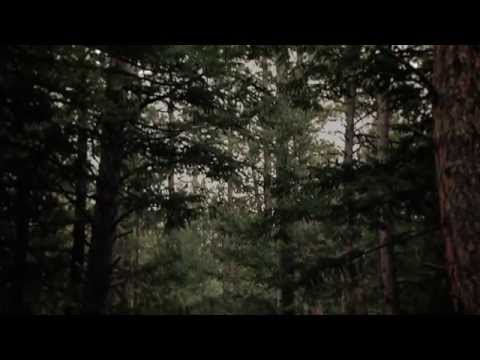 "The Ghosts of Johnson Woods" Movie Trailer