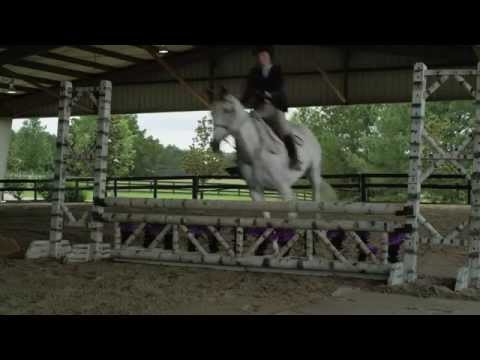 A Gift Horse - Official Trailer HD