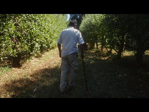 Love in the Walls - Trailer