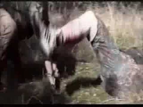 Violent Shit 2 trailer (french trailer)