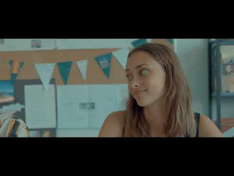 SE SOUVENIR DES TOURNESOLS