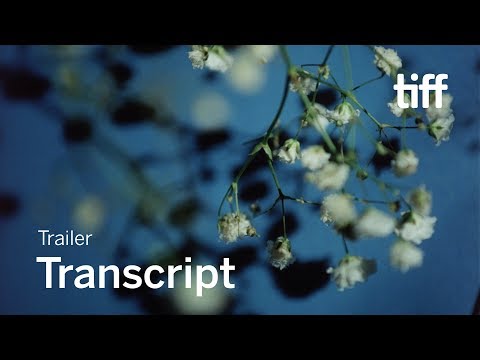 TRANSCRIPT Trailer | TIFF 2019