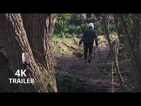 TRAILER UFFICIALE Bruno Petretto - Una vita per l'Arte