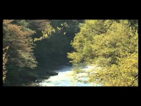 映画『五日市物語』予告編