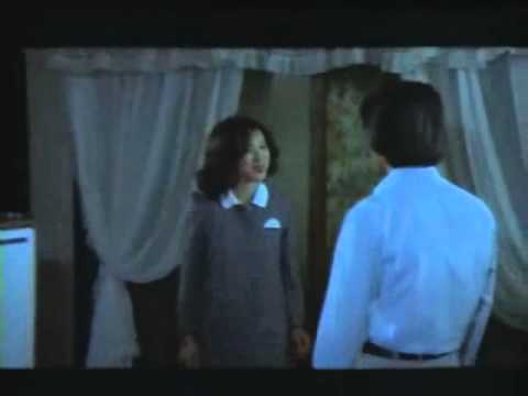 Dracula in a Coffin 관속의 드라큐라 1982 Trailer