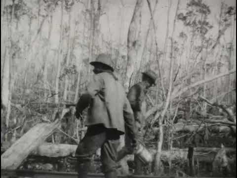 Zora Neal Hurston Fieldwork Footage 1928