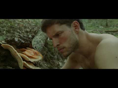'Harvest Lake' Trailer A