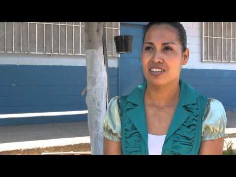 U.S.A.E.R. Documental