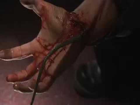 Snakes On A Train Trailer