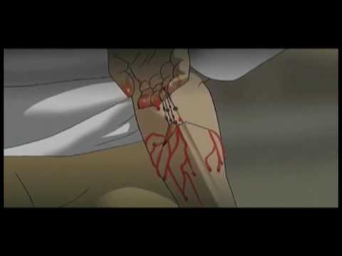 TECHNOTISE ANIME TRAILER