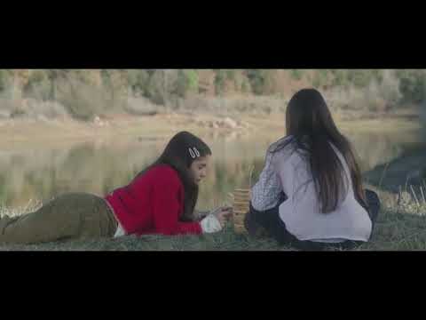 Tráiler - Gemelas v1