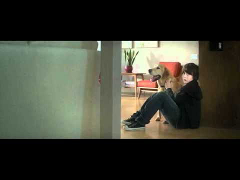 Blinky™ Teaser Trailer - HD