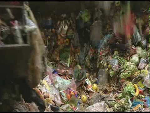 Food Waste - The story of our garbage bins