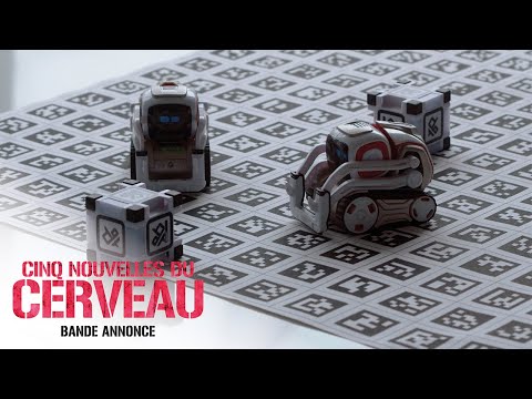 CINQ NOUVELLES DU CERVEAU - Bande annonce