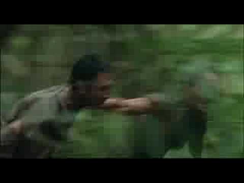 Official Journey from the Fall Trailer