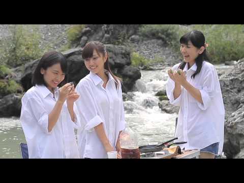 映画『こたつと、みかんと、殺意と、ニャー。』特報