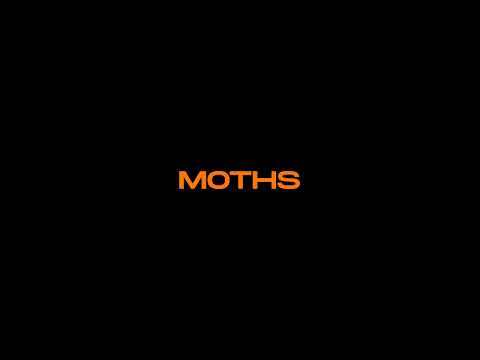 MOTHS - Trailer