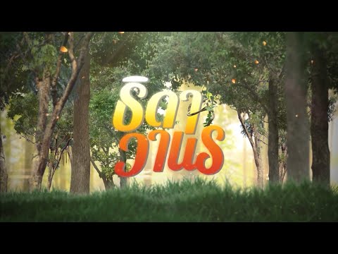 ธิดาวานร | ละครเด็ด 7HD ปี 2564