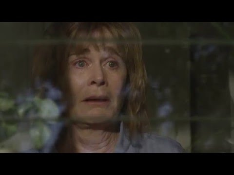 Trailer - Harvey's Dream (2016)