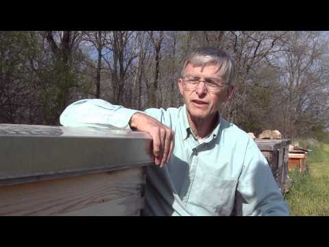 Queen of The Sun: What Are the Bees Telling Us? (Trailer)