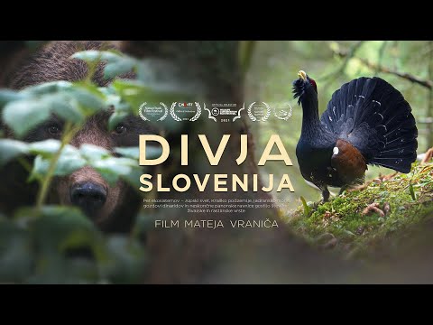 Divja Slovenija | v kinu